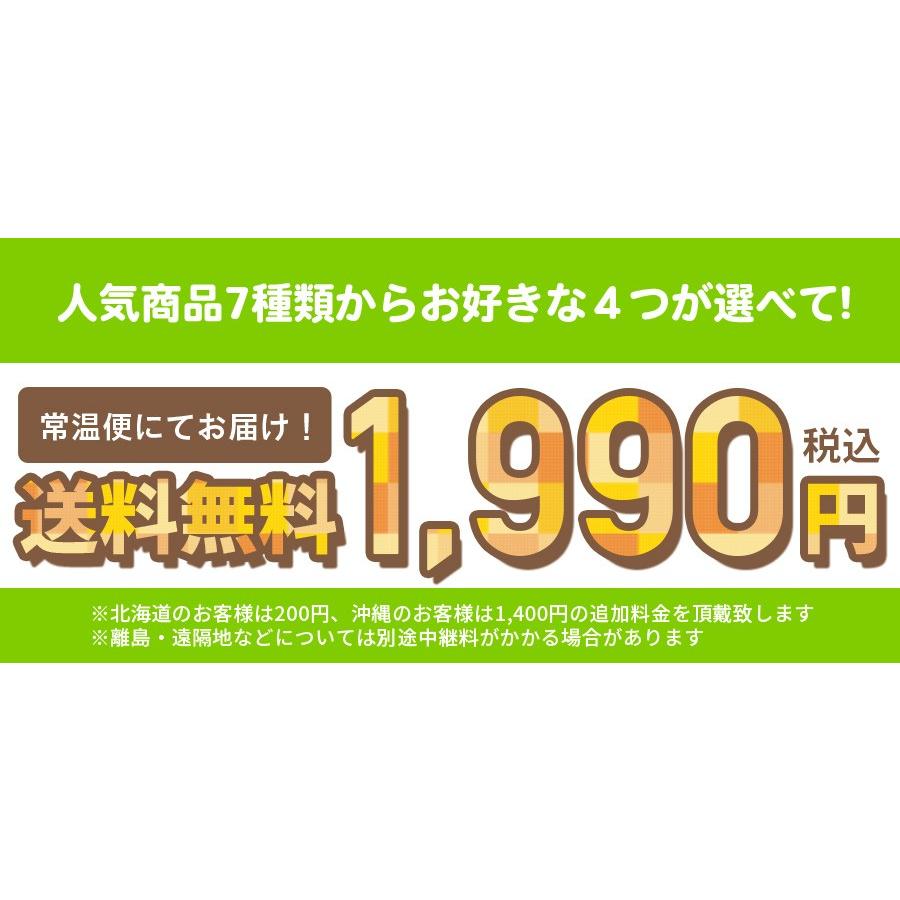 レトルトカレーなど人気商品から選べる！お試し福袋 4品セット 送料無料 熨斗対応