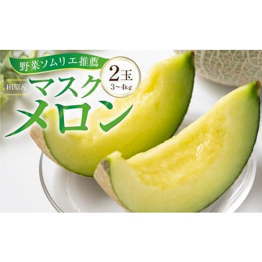 ふるさと納税 愛知県 田原市 先行予約 数量限定 野菜ソムリエ 推薦 渥美半島伊良湖潮風育ち マスクメロン 2玉 2L〜3L サイズ(3〜4キロ)カラーギフト箱入り　20…