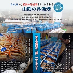 鳥取産活松葉がに 600g～800g (大サイズ)