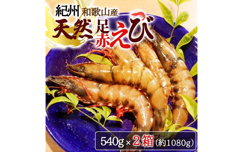 紀州和歌山産天然足赤えび540g×2箱（270g×4パック）化粧箱入 ※2023年11月上旬～2024年2月下旬頃順次発送予定（お届け日指定不可）