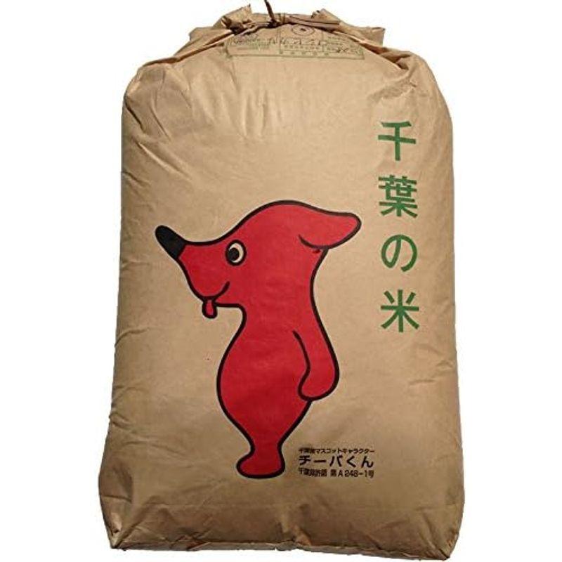 ふさおとめ 令和4年産 千葉県産 選別済 玄米 30kg (10kg×3) (Brown rice 10kg×3)