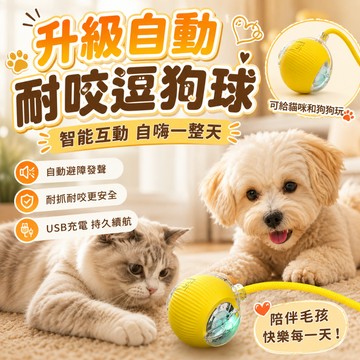 [現貨隔日配 陪伴寵物抗咬不易壞]  狗狗玩具 寵物玩具  貓咪玩具 狗玩具 貓玩具 逗貓 逗狗球 [PB07]