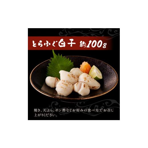 ふるさと納税 長崎県 松浦市 漁協直送！とらふぐ刺身とちり鍋セット3〜4人前(白子、茶漬け付) とらふぐ ふぐ フグ 河豚 刺身 鍋 ちり鍋 白子 茶漬け…