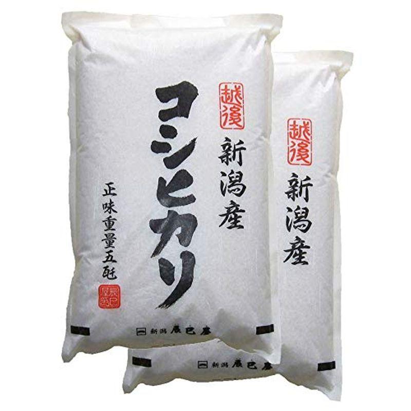 精米新潟県産コシヒカリ 白米 10kg（5kg×2袋）令和3年産 新潟辰巳屋（産地直送米）… (10kg)