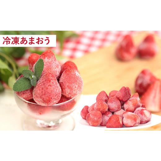 ふるさと納税 福岡県 太宰府市 あまおう 贅沢セット いちご イチゴ フルーツ 果物