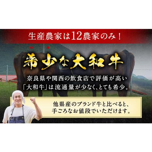 ふるさと納税 奈良県 奈良市 H-37 大和牛・ヤマトポークのステーキセット