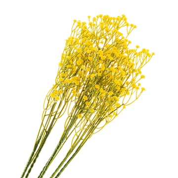 【dayneeds】仿真花藝-滿天星(8色可選)(5支/入)黃色