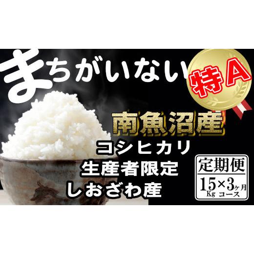 ふるさと納税 新潟県 南魚沼市 生産者限定 契約栽培　南魚沼しおざわ産コシヒカリ（15Kg×3ヶ月）