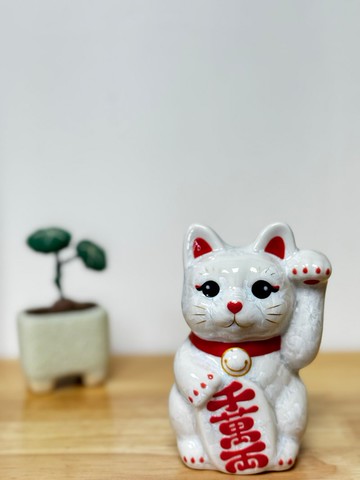 京燒 清水燒 |花結晶 迷你 白 左手 千萬両