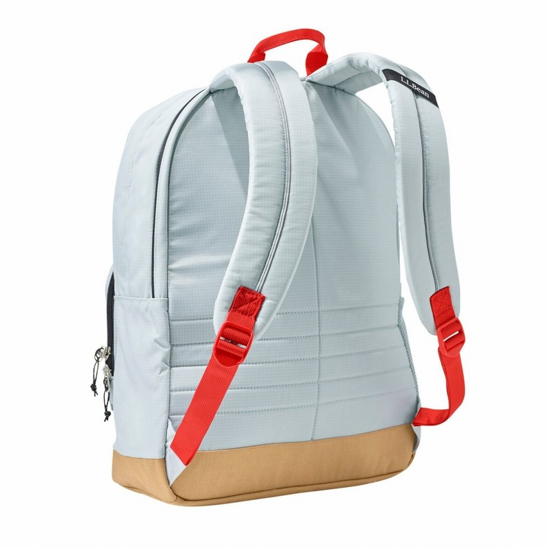 Classic school backpack hot sale