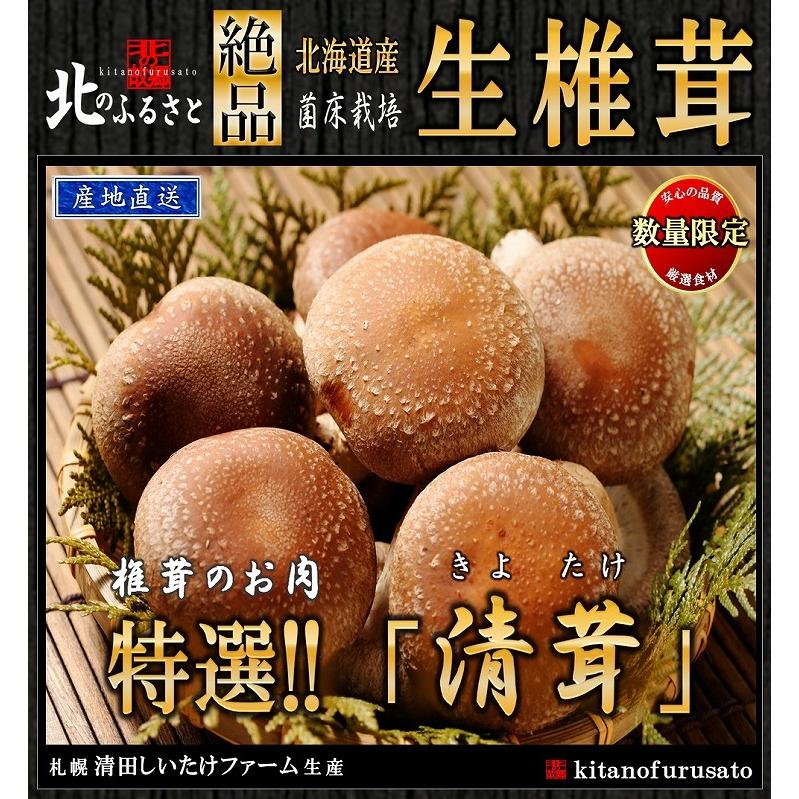 生 椎茸 肉厚な高級 清茸 Mサイズ 10玉入り × 2パック 産地直送 北海道産 有明の名水 椎茸 シイタケ しいたけ ギフト 贈答品 肉厚 キノコ きのこ お歳暮 お正月