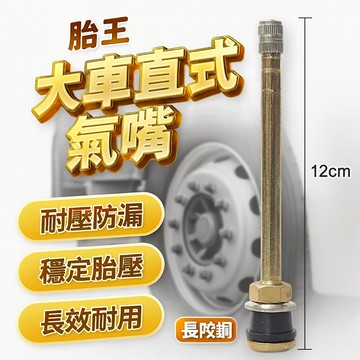 胎王 大車直式氣嘴 貨車氣門嘴 卡車氣嘴｜耐壓防漏穩定胎壓長效耐用