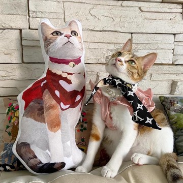 客製化寵物似顏繪3D立體Cushion咕𠱸 來圖訂製  抱枕