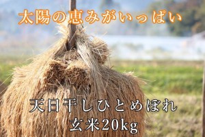 ◆令和4年産◆ 宮城県産 ひとめぼれ 玄米 20kg (10kg×2袋) 一等米 希少な天日干し 健康食 マクロビ 未調整玄米 ＊沖縄県送