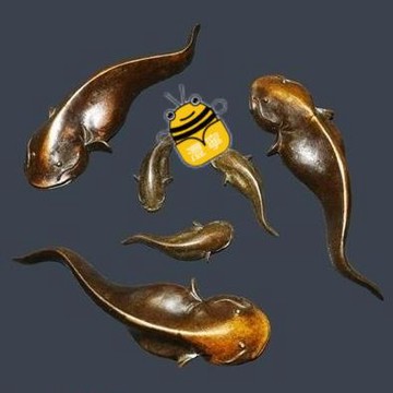 免運🌱精品包漿銅鯰魚小擺件實心銅魚手把件茶道茶寵復古銅微雕古玩銅器sup
