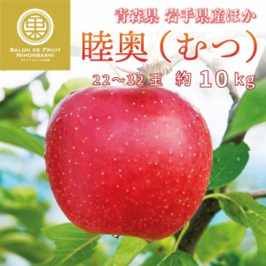 [予約 2023年12月1日-12月31日の納品] 陸奥 約10kg 22-32玉 大玉 青森県産 岩手県産ほか むつ りんご リンゴ ギフト 産地箱