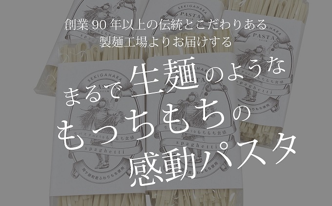 関ケ原町産ふわりもち使用 関ケ原パスタ（平打ち麺）計900g（300g×3袋 約9人前）