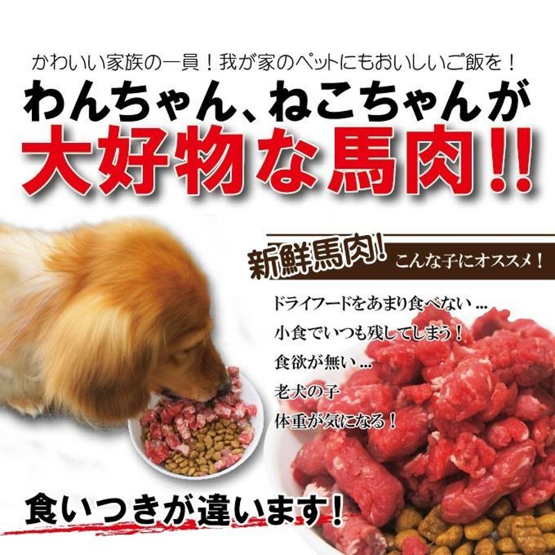 ドッグフード MOKO 鹿肉ドッグフード 1．0kg （無添加 国産 エーワン ペット