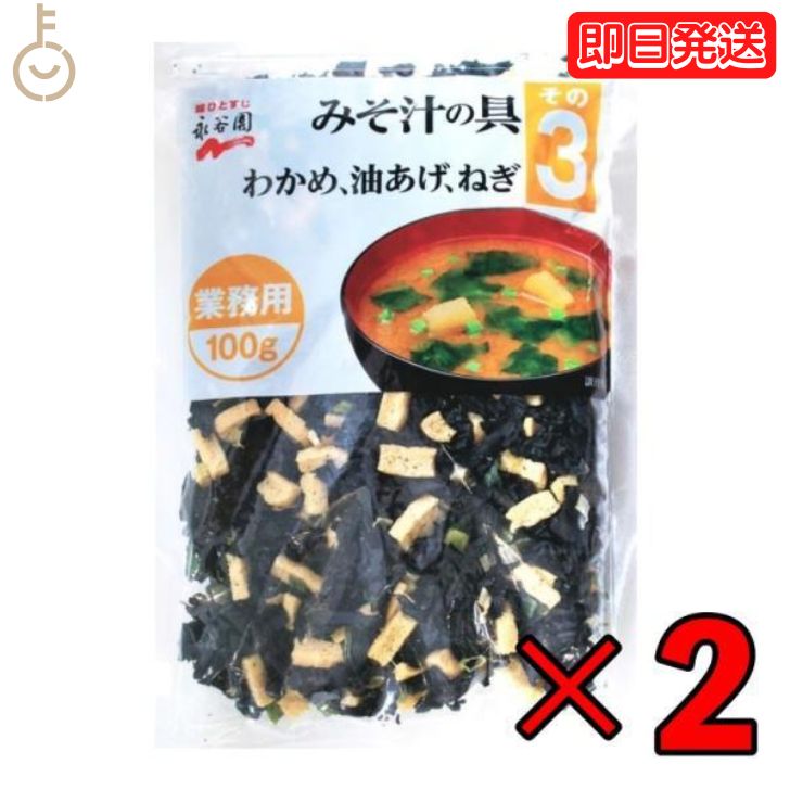 永谷園 業務用 みそ汁の具 その3（わかめ油揚げねぎ）100g 2個 みそ汁 味噌汁 大容量