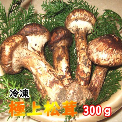 松茸　国産 300g（まつたけ）　冷凍　　つぼみ　極上松茸（マツタケ）　岩手 北三陸 久慈産 まつたけ送料無料