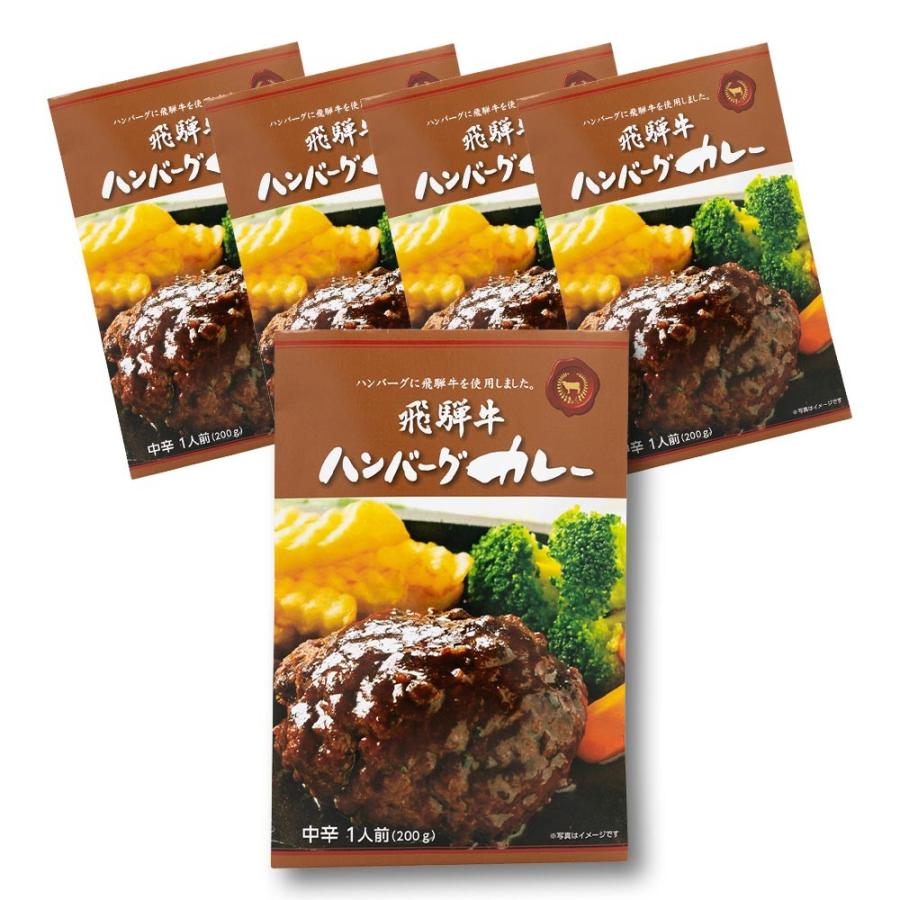 飛騨牛 ハンバーグカレー　5食セット レトルト　まとめ買い