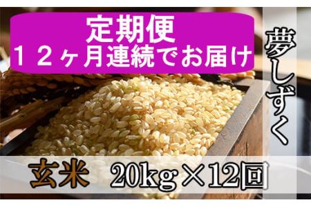 《12ヶ月毎月お届け》鹿島市産夢しずく　玄米２０ｋｇ定期便 V-14