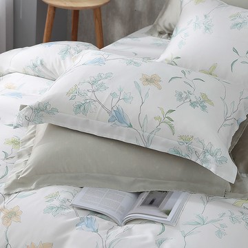 枕套2入/ 天絲300織 / 天絲 萊賽爾 / 樂西亞 [鴻宇] 台灣製 - T20186