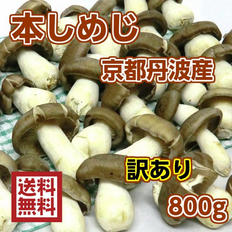 楽天市場】瑞穂農林 京丹波産大黒本しめじ 350g 7〜9本入り 送料