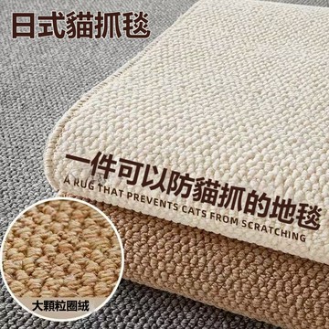 日式地墊 耐磨地墊 防貓抓地墊 仿劍麻地墊 地墊 加厚地毯 大地毯 貓地毯 地毯 復古地毯 軟墊 腳踏墊【雲朵居家】