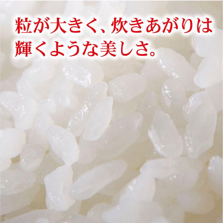 米 新潟産 新之助 2合（300ｇ）真空パック プチギフト 新潟の手土産