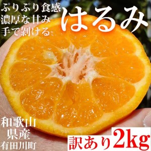 はるみ みかん オレンジ 2kg 和歌山県産ご家庭用