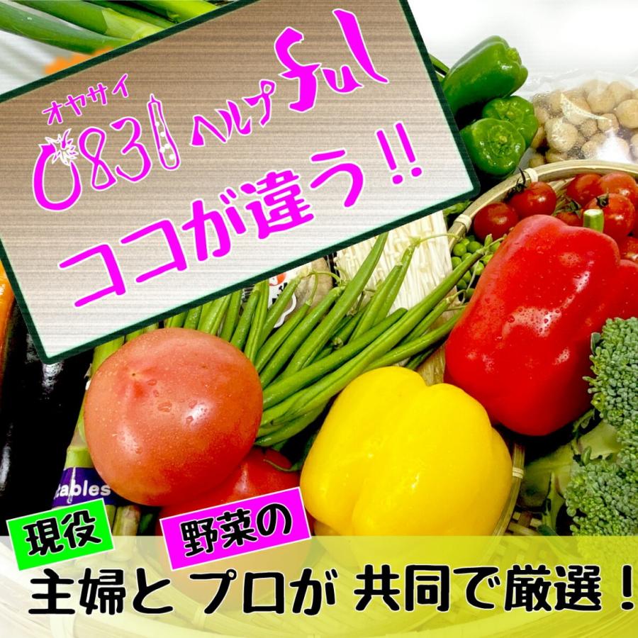 新鮮　野菜セット　九州野菜8品  おまけのお野菜4〜6品 九州の市場から直送　野菜詰め合わせ　