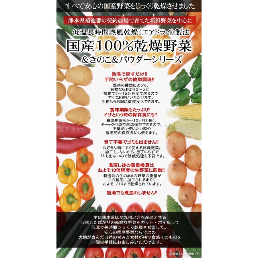 国産乾燥野菜シリーズ 乾燥たまねぎ 275g 熊本県産100％