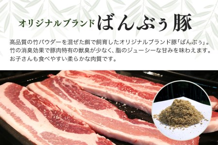 ブランド豚「ばんぶぅ」小分け ロース焼肉用 1kg（500g×2パック） 冷凍便 1キロ 豚肉 豚ロース 豚ローススライス肉 焼き肉用 やき肉用 やきにく用 ヤキニク用 薄切り肉 うす切り肉 ブタ肉 国産 茨城県産 ギフト プレゼント お祝い ４２－ＡＧ