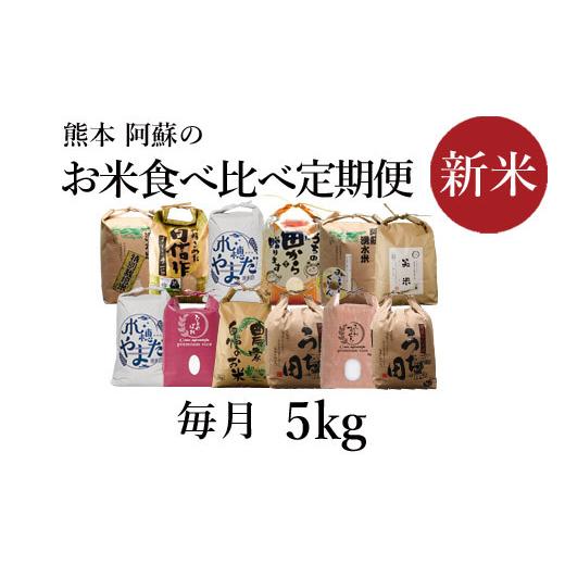 ふるさと納税 熊本県 阿蘇市 令和5年度　阿蘇の美味しいお米定期便　5kg×12か月