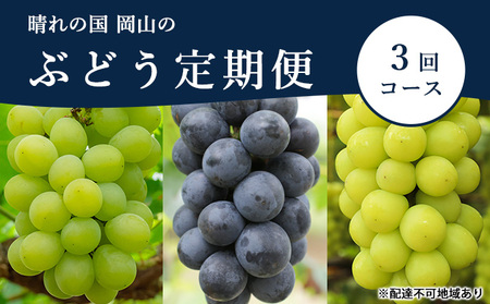 ぶどう 定期便 2024年 先行予約 晴れの国 岡山 の ぶどう定期便 3回コース 葡萄 ブドウ 岡山県産 国産 セット ギフト