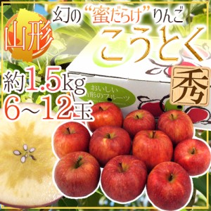 山形産 蜜だらけりんご ”こうとく（高徳）りんご” 6～12玉 約1.5kg 送料無料