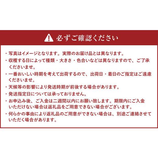 ふるさと納税 北海道 北広島市 新じゃが きたあかり 約10kg