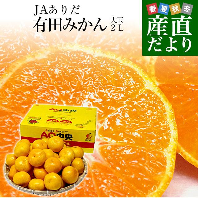 和歌山県より産地直送 JAありだ 有田みかん 大玉 2Lサイズ 4.5キロ(30玉前後) 送料無料 蜜柑 ミカン お歳暮 御歳暮