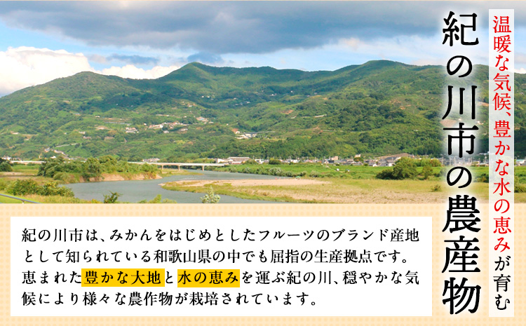 はっさく 八朔 4kg＋1kg  計約5kg サンファーム《1月上旬-3月中旬頃より出荷予定》和歌山県 紀の川市 ご家庭用---wsk_saf4_a13_23_5000_5kg---