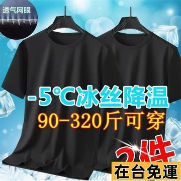 🔥台灣發出🔥 2025新款 8XL大尺碼男裝加肥加大圓領夏季速幹衣短袖T恤男冰絲網眼體恤寬鬆大碼純色胖子運動半袖 R
