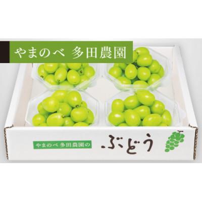 ふるさと納税 山形県 ダイヤパック 250g×4