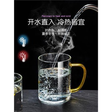 玻璃茶杯套裝6只客廳待客專用杯子家用喝水一家人區分水杯帶把手