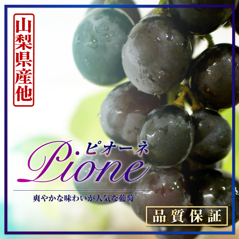 [最短順次発送]  ピオーネ 1房 600g以上 特大 山梨県産ほか   暑中見舞 残暑見舞 夏ギフト