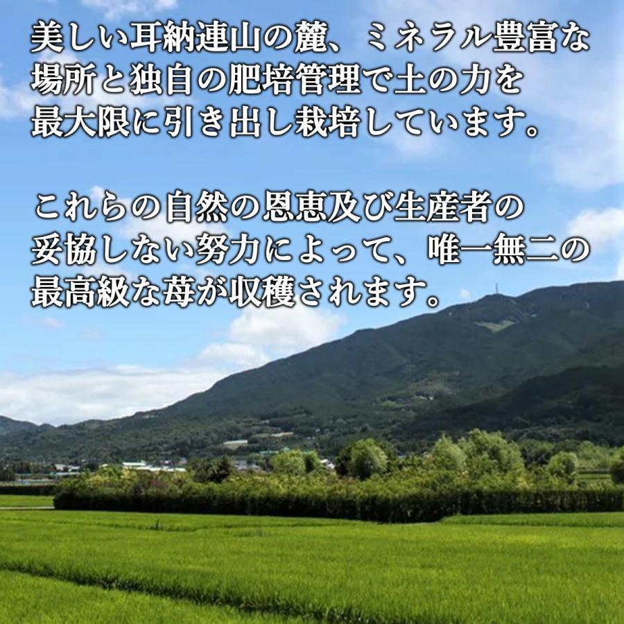 いちご さがほのか プレゼント ギフト おすすめ イチゴ 苺 神激 送料無料 高級  神聖のさがほのか 1箱2パック