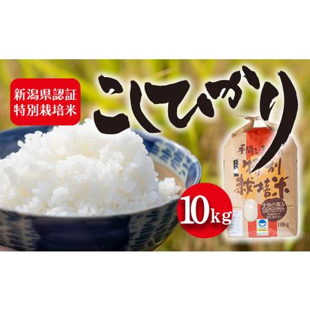 ふるさと納税 令和5年産 新潟県認証特別栽培米 コシヒカリ10kg 新潟県新潟市