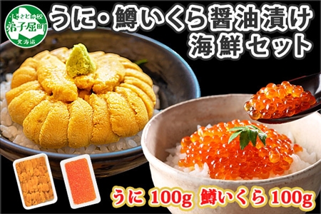 1958. うに チリ産 冷凍 100g 鱒いくら醤油漬け 100g セット ウニ 雲丹 チリ産 ますいくら 鱒 マス イクラ いくら いくら醤油漬け 海鮮 海鮮丼 送料無料 北海道 弟子屈町