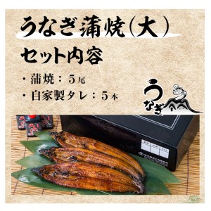 厳選！鹿児島県産うなぎ蒲焼　大５尾（約800g） 国産 うなぎ 鰻 蒲焼 冷凍 鹿児島