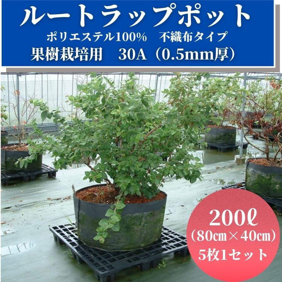 ルートラップポット　30A（0.5mm厚）200L　5枚1セット　80cm×40cm　100％ ポリエステル　不織布　タイプ　果樹栽培　農業資材　ブドウ　育成　ポット