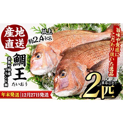 ふるさと納税 鹿児島県 長島町 ＜2023年12月27日発送予定＞長島町特産「鯛王」(2匹セット)jfa-940-1227